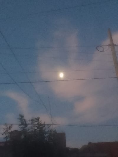 A dim moon hangs in a dusky sky, partially obscured by wispy clouds. Overhead power lines intersect the view, adding a geometric element. A weathered utility pole stands to the right. Silhouetted trees and rooftops form a dark base, grounding the scene with an urban edge. The overall image conveys a quiet, evening atmosphere.