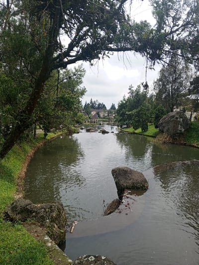 This serene landscape shot depicts a tranquil body of water, likely a canal or narrow lake, framed by lush greenery under an overcast sky in Baza, Myanmar (Burma). Dominating the top of the frame, large, dark tree branches, heavily laden with moss and epiphytes, create a natural archway, adding depth and a sense of enclosure.
The calm water, reflecting the muted sky and surrounding trees, flows through the center of the scene. Several dark, moss-covered rocks are scattered within the water, with one prominent, elongated rock situated in the mid-right foreground, partially submerged. A subtle, partially submerged concrete structure is also visible near this rock. Both sides of the water feature verdant grassy banks and an abundance of trees and shrubs, contributing to the rich, natural environment.
In the midground and background, the landscape opens to reveal multiple light-colored buildings, possibly villas or a resort, characterized by their distinct architectural style. These structures are interspersed among dense foliage. Several open-sided gazebos with dark, pointed roofs are also visible along the water's edge in the distance, enhancing the picturesque setting.
The soft, diffused light indicates a daytime scene, likely under a cloudy or overcast sky, lending a peaceful and subdued atmosphere to the image. There are no people or specific activities taking place, emphasizing the stillness and natural beauty of the location. No visible text is present.