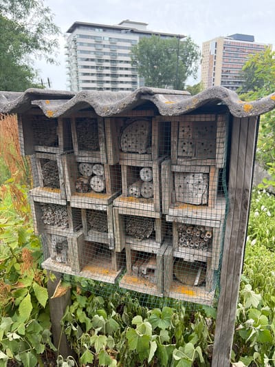 This media file shows a close-up view of an insect hotel, likely located in Rijswijk, Netherlands. The insect hotel is constructed from wooden compartments of various sizes, filled with materials such as hollow reeds, drilled wood, and pine cones, designed to provide shelter for beneficial insects. A green mesh covers the front of the hotel to protect the occupants. The hotel is situated outdoors, with lush green foliage surrounding it, indicating a natural or garden setting. In the background, a tall, modern apartment building with a grid-like facade is visible, suggesting an urban or suburban environment. The sky is overcast, hinting at a cloudy day. The overall impression is one of an urban oasis designed to support local biodiversity. There is no visible text in the image.