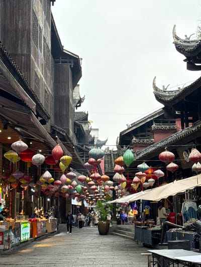 The image depicts a pedestrian street in Pengshui Miao and Tujia Autonomous County, China, characterized by traditional Chinese architecture and numerous overhead lanterns.
The street is paved with irregular grey stone blocks and extends into the distance, flanked by multi-story buildings. On the left, buildings are constructed primarily of dark, weathered wood with intricate window lattices and overhanging eaves, some with dark brown awnings extending over storefronts. On the right, similar traditional structures feature dark tiled roofs with prominent, ornate, upward-curving eaves and roof finials, particularly noticeable against the light sky. Some sections of the right-side buildings display red structural elements beneath the eaves.
Hundreds of colorful lanterns are strung in dense rows across the street overhead, forming a canopy. These lanterns are various shapes, predominantly rounded or elongated ovals, and feature diverse colors including red, yellow, green, blue, purple, pink, orange, and white, many with patterned or mottled textures.
Multiple individuals are visible on the street, engaged in walking and browsing. In the mid-ground, a man in a dark jacket and light pants walks centrally. Along both sides of the street, various market stalls and storefronts are present. On the left, displays with brightly lit merchandise are visible within shops. On the right, market stalls with light-colored awnings exhibit goods such as clothing on racks and other items on tables. A large brown potted plant stands near the center of the street, further down. A dark, potentially metallic, statue is partially visible in the lower right foreground beside a table. The sky overhead is overcast and light grey.