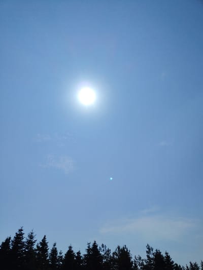 The image depicts a clear blue sky with the sun positioned in the upper left quadrant, appearing as a bright, hazy orb. A few wispy clouds are scattered across the sky. In the lower portion of the image, a silhouetted line of coniferous trees forms a distinct horizon against the sky. The sun's position and the clear sky suggest it is daytime, likely mid-morning or afternoon. There is a lens flare present, appearing as a small blue circular spot lower in the sky. No people, text, or specific activities are visible. The presence of coniferous trees might suggest a natural or forested environment.