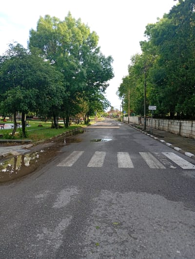 This outdoor image depicts a quiet street scene in Roza, Bulgaria, observed during daylight hours, likely after a recent rain shower. The paved asphalt road features a pedestrian crossing with white zebra stripes in the foreground. Several puddles, reflecting the overhead trees and bright sky, are visible on the road surface, particularly on the left side near the curb and a smaller one centrally.

Lush green trees line both sides of the street, creating a dense canopy. On the left, a grassy park area extends from the road, furnished with park benches and more trees. On the right, a paved sidewalk runs alongside a low, light-colored stone wall. Utility poles with overhead wires are visible along this side. A white directional sign, mounted on a pole, features an arrow pointing right. The text on the sign reads "Библиотека" (Biblioteka) in Cyrillic, followed by "G Library" in Latin script. Further down the street, residential houses are visible. No people are present, and the scene conveys a tranquil atmosphere, with the clear sky suggesting the rain has passed.