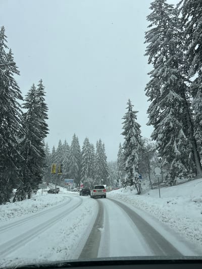 The image depicts a snow-covered road winding through a forest, likely near Пампорово, Bulgaria, based on the presence of signs advertising "Erde" and "Амга," which are likely Cyrillic. The road has tire tracks indicating recent vehicle passage. Several cars are visible in the distance, traveling on the road. The surrounding trees are heavily laden with snow, creating a wintry scene. The sky is overcast, suggesting continued snowfall. A lamp post is also visible. The image appears to be taken from inside a vehicle, looking outward.