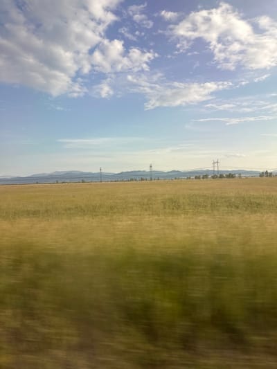 The image captures a wide, golden field stretching towards a distant horizon. The field is characterized by tall, dry grass that appears blurred due to motion, suggesting the photograph was taken from a moving vehicle. In the background, a line of trees and hills forms a hazy silhouette against a pale blue sky dotted with white, wispy clouds. Several power line towers with wires strung between them are visible across the landscape, indicating the presence of infrastructure. The overall scene conveys a sense of open space and rural tranquility, consistent with the outskirts of Novonikolaevka, Russia.