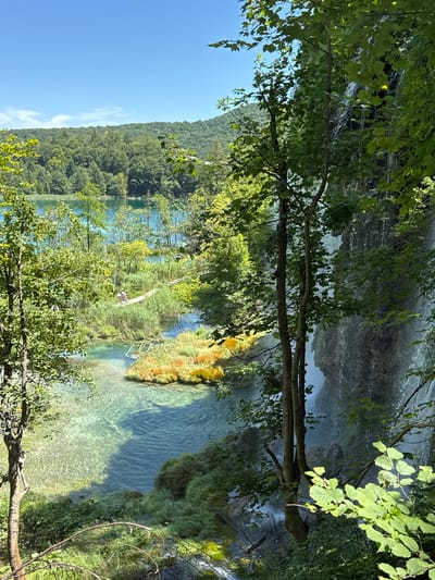 This image depicts a scenic view of Plitvička Jezera National Park in Croatia, featuring a cascading waterfall and clear turquoise lakes surrounded by lush green forests. In the foreground, sunlight filters through the leaves of trees, casting shadows on the textured bark of a tree trunk. The waterfall, to the right, plunges down a rocky cliff face, its mist creating a soft, blurry effect.
Further into the scene, a wooden boardwalk winds through the water, allowing visitors to traverse the park. Several individuals are visible on the boardwalk, appearing to be walking and observing the scenery. The water itself is remarkably clear, revealing the submerged rocks and aquatic plants below. The lake is a vibrant turquoise, with areas of lighter, shallow water and darker, deeper sections. Islands of vegetation, covered in orange and yellow flora, dot the water's surface.
In the background, rolling hills covered in dense forest extend towards a clear blue sky. The overall impression is one of a pristine natural environment, with the park's well-maintained pathways integrated harmoniously with the landscape.