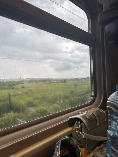 The image depicts a view from inside a vehicle, likely a train or bus, looking out a rain-streaked window. The scene outside is a rural landscape with green fields and trees under a cloudy sky. The weather appears to be overcast and rainy, as evidenced by the water droplets on the windowpane and the diffused light.
Inside the vehicle, several objects are visible. At the top, a dark blue cushion is partially visible. To the right, a green handbag with light-colored straps and gold hardware is placed on a shelf or seat. Next to it, a crinkled silver bag is also present, along with what appears to be a plastic water bottle with a blue cap. The interior of the vehicle has brown trim around the window.
The perspective suggests the vehicle is in motion, with the landscape blurring slightly. The overall mood is somewhat subdued, perhaps due to the weather and the confined space of the vehicle. No people are visible in the image. The location is identified as Novye Biriuli, Russia. There is no discernible text within the image.
