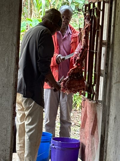 The scene, set at the doorway of a structure within Horombo Huts, Tanzania, depicts two adult males engaged in butchering a large animal carcass. The man on the left, positioned with his back partially to the viewer, wears a dark long-sleeved shirt, light-colored trousers, and a patterned head covering; he holds a knife near the lower portion of the frame. The man on the right, with grey hair, is visibly smiling and wears an orange jacket over a pink shirt and grey trousers; he holds a large knife directed towards the hanging carcass. The raw, red carcass is suspended vertically from metal hooks affixed to a barred metal structure, likely part of a gate or window frame. Two plastic buckets, one blue and one purple, rest on the ground in the foreground. Beyond the doorway, a dense, natural environment with vibrant green foliage is visible.