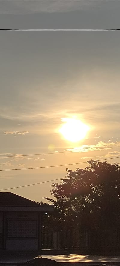 The image depicts a natural scene with a bright sun in the sky, possibly during sunrise or sunset due to the warm, diffused light. The sun is the central focus, casting a glow that illuminates the surrounding clouds. Power lines are visible, stretching horizontally across the frame, indicating an outdoor, possibly semi-urban or rural, setting. In the lower part of the image, the silhouette of a building with a dark roof and a section of a fence can be seen. A large, dark tree with dense foliage is also present, partially obscuring the view of the building and fence. The ground in the foreground reflects the sunlight, creating shimmering patterns. The overall mood is peaceful and serene, with the warm lighting suggesting a tranquil moment. The time of day is likely dawn or dusk. There is no visible text in the image.