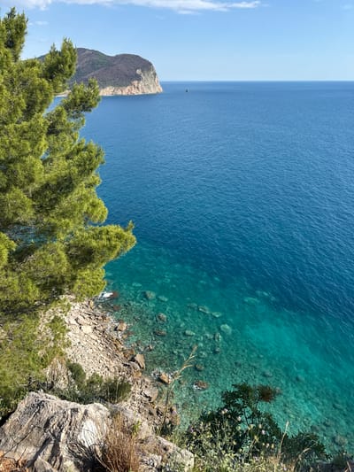 The image depicts a view from a cliffside in Kaluđerac, Montenegro, overlooking the Adriatic Sea. The water transitions from deep blue in the distance to turquoise near the rocky shoreline, where individual rocks are visible through the clear water. A promontory extends into the sea to the left. Evergreen trees are prominent in the foreground, partially obscuring the view. A rocky outcropping forms the immediate edge of the cliff, with vegetation growing on and around the rocks.