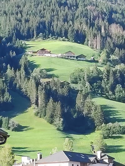 This is an aerial view of a rural landscape in Innichen - San Candido, Italy, characterized by rolling green hills covered in lush grass and dense coniferous forests. Several buildings are visible, nestled into the hillsides. One prominent structure is a multi-story building with a red-tiled roof and white walls, possibly a guesthouse or hotel, with a long white colonnade. Adjacent to it is another building with a dark roof. Further down the slope, smaller buildings and what appear to be farm structures are scattered. Shadows cast by trees and buildings indicate a sunny day. The foreground shows the rooftops of residential buildings, some with dark tiled roofs and dormer windows, and chimneys. The overall scene depicts a tranquil mountain village environment.