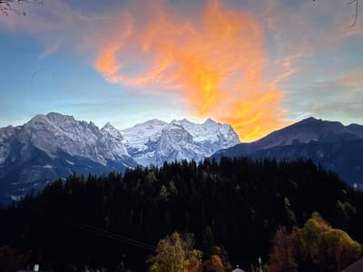 This image depicts a mountain landscape at sunset. In the foreground, a dense forest of dark green coniferous trees covers a sloping hillside. Above the treeline, majestic, snow-capped mountains rise, their rugged peaks illuminated by the warm, orange and yellow hues of the setting sun. The sky is a gradient of soft blues transitioning into vibrant sunset colors, with wispy clouds catching the light. The overall scene is serene and dramatic, capturing the beauty of nature at dusk. There are no people or specific urban features visible that would indicate a location in Porrentruy, Switzerland. The scene appears to be in a natural, mountainous region.