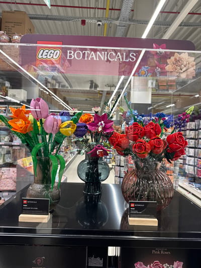The image displays a retail store environment featuring a display of three distinct LEGO Botanical Series bouquets. The primary subjects are three arrangements of artificial flowers constructed from LEGO bricks, housed within a transparent, reflective display case with a black base.
From left to right:
1. A bouquet of orange and pink/purple tulip-like LEGO flowers, presented in a clear, vertically ribbed glass vase. An accompanying black informational card on a wooden stand reads "LEGO BOTANICALS 11501 Le bouquet de tulipes".
2. A mixed bouquet of various smaller, colorful LEGO flowers, including purple orchids, yellow, orange, and blue elements, arranged in a dark grey/smoke-colored spherical glass vase with a narrow neck. This bouquet lacks an immediately visible informational card.
3. A bouquet predominantly composed of red rose-like LEGO flowers, displayed in a reddish-brown/amber-tinted, vertically ribbed glass vase. A black informational card on a wooden stand reads "LEGO BOTANICALS 10328 Rosenbouqet Le bouquet de roses".
Above the bouquets, within the display case, a maroon-colored sign with white text reads "LEGO BOTANICALS". Additional floral illustrations are visible on the right side of this sign.
The background shows a brightly lit retail aisle with blurred shelving containing various products. The ceiling features exposed metal conduits in yellow and grey, fluorescent strip lighting, and a red fire sprinkler head. A black security camera is mounted on the ceiling. Reflections on the transparent display case show distorted figures, suggesting human presence within the store. The specific location within Sint-Niklaas, Belgium, is not identifiable from the visual evidence provided.