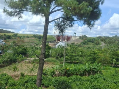 The image depicts a wide-angle view of the Đại Ninh Dam in Đại Ninh, Vietnam. In the foreground, a large pine tree with dense green needles partially obscures the upper portion of the frame. The tree trunk is rough and dark, standing out against the lighter background.
Behind the tree, the dam structure is visible, characterized by its concrete facade and several large, red gates. Water is being released from the dam, creating a visible plume of spray and mist. The dam is situated on a hillside covered in lush green vegetation.
The landscape surrounding the dam is a mix of natural and cultivated elements. Rolling hills are covered with dense trees and bushes. In the middle ground, there are patches of farmland with young crops and banana trees. The sky above is a bright blue, dotted with fluffy white clouds, suggesting fair weather. A few utility poles with wires are also visible scattered throughout the landscape, indicating human infrastructure in the area. The overall scene conveys a sense of a vast, somewhat wild, yet managed environment, typical of a hydroelectric dam's location.
