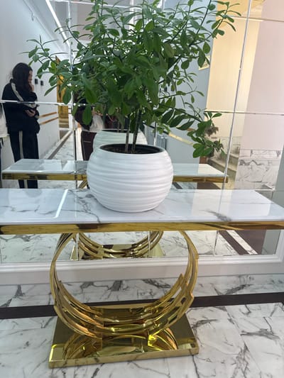 The image portrays a modern interior space in Aragats, Armenia. In the foreground, a vibrant green plant with multiple stems is contained within a white, horizontally ribbed, spherical planter. This planter rests on a rectangular console table featuring a white marble-patterned top. The table's base is constructed from highly polished gold-toned metal, forming an abstract C-shaped design with concentric curved bands, anchored by a rectangular plinth. The floor is tiled with white marble-patterned squares, interrupted by a dark horizontal strip.

The wall directly behind the console table is entirely clad in square mirrored panels, reflecting the central plant, table, and other elements of the environment. To the left, a person with long, dark hair is visible, wearing a dark tracksuit with white stripes on the sleeves and sides. This individual stands, partially obscured by the plant, holding a mobile phone in their right hand. Reflections in the mirrors to the right reveal a hallway or staircase with light-colored walls and the partial reflection of what appears to be another person. The ceiling contains visible recessed lighting fixtures.