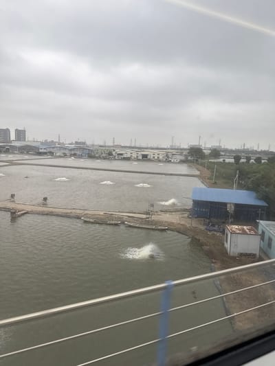 A landscape view from an elevated position shows an aquaculture farm in Zhongshan, China. The farm is composed of multiple long, rectangular ponds filled with water. In the water, there are areas of bubbling, likely caused by aeration equipment. Separating the ponds are earthen paths, and some structures are visible along the side. There's a building with a blue roof, along with a container or trailer on the same bank. Along the horizon, there are city buildings and power lines. The sky is overcast and gray. The view is partially obscured by a window frame in the foreground.