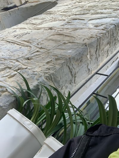 The image displays a textured, light-colored stone wall with carved or naturally formed indentations and ridges, suggesting it might be an exterior architectural feature. In the foreground, several long, green leaves of a plant, likely in a planter, are visible. To the left, the rim of a white bucket is seen, and to the right, a portion of a black garment with a zipper is present. Behind the plants and the stone wall, a window with a dark metal grate and reflections is apparent. The scene appears to be outdoors, with natural lighting. The location is identified as Krushev Dol, Bulgaria. There are no people clearly visible in the image.