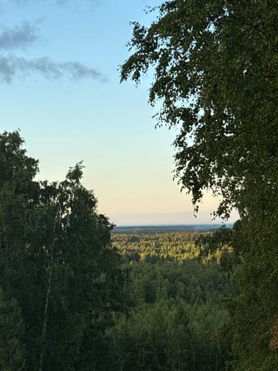 The image depicts a panoramic view of a dense forest from an elevated perspective, likely from a hilltop or high vantage point. The foreground is dominated by the lush green canopy of trees, with some branches and leaves framing the view. The sky above is a gradient of light blue and soft yellow, suggesting either early morning or late afternoon. In the distance, the forest stretches out to the horizon, with variations in green hues indicating the type and density of the trees. The overall impression is one of natural serenity and expansive woodland. The image was captured in Voeikovo, Russia.