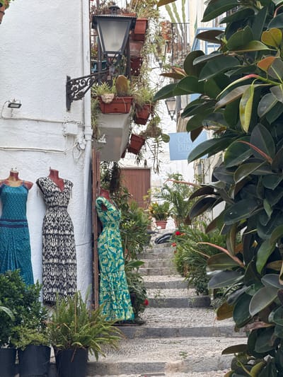 An outdoor scene captures a charming street in what appears to be a Mediterranean town, characterized by white walls and lush greenery. The image, presented with a vertical orientation, depicts a vibrant display of dresses and potted plants.
In the upper portion of the frame, dense, dark green leaves of a large tree, possibly a rubber plant, hang down, partially shading the scene and indicating a leafy canopy overhead. Below this, a bright white stucco wall serves as a backdrop for three dresses displayed on mannequins or hangers. The topmost visible dress features a light blue-green pattern with tropical leaves. Below it, a black and white dress showcases a distinctive geometric, possibly tribal, print. The bottom dress is a darker blue with a small, intricate pattern.
To the right, a set of old, weathered stone stairs ascends, suggesting a sloping street or pathway. The stairs are made of uneven stones, adding to the rustic character of the location. Various potted plants, including ferns and succulents, are arranged along the stairs and on ledges, adding to the verdant atmosphere.
On the left side, attached to the white wall, is an ornate black metal street lamp with a glass pane. Electrical conduits and small boxes are also visible on the wall. Numerous terracotta pots with plants are placed on a ledge above the lamp.
A light blue rectangular sign is affixed to the white wall, bearing the text "Casa Blava" in larger letters, with smaller text underneath that includes "ALOJAMIENTO". This suggests the presence of a guesthouse or shop. The overall ambiance is tranquil and decorative, implying a pleasant daytime setting without any specific human activity, though the displayed dresses point to commercial activity. The presence of dense foliage and traditional architecture aligns with the provided context of Peníscola, Spain.