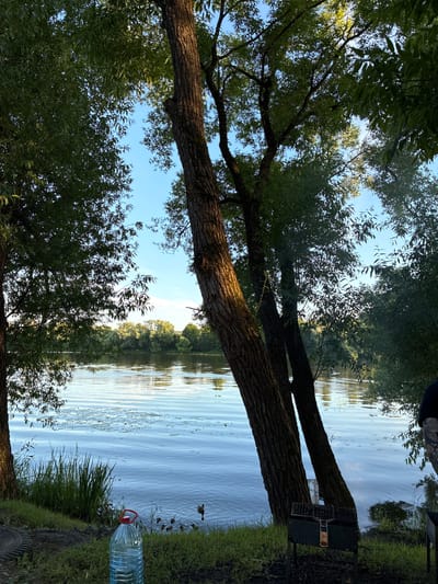 The image depicts a serene outdoor scene on the banks of a river, likely in Il’inskoye, Russia, given the provided context. Tall trees with lush green foliage frame the view, their rough bark catching the sunlight. The river's surface is calm, reflecting the clear blue sky and the distant tree line on the opposite bank. Small ripples on the water suggest a gentle breeze. In the foreground, a large, clear plastic bottle of water sits on the grassy bank, next to some reeds. A barbecue grill is also present, suggesting a picnic or outdoor gathering. A family of ducks, including several ducklings, swims in the shallow water near the bank. The overall atmosphere is peaceful and natural, hinting at a pleasant day spent by the water.