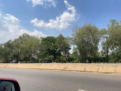 This image captures a roadside scene in Wupa, Nigeria, viewed from inside a vehicle, indicated by the red rearview mirror visible in the top right. The perspective is looking from the road towards a treeline and the sky.
The lower portion of the image shows a paved asphalt road, grey in color, with a faint white line partially visible on its left edge. Adjacent to the road is a light brown concrete curb or sidewalk, constructed from several distinct slabs. Some dirt and sparse green growth are visible in the gaps and edges of these concrete sections.
Beyond the curb, a dense barrier of green foliage and trees dominates the middle section of the image. Various types of trees with different shades of green leaves are present, forming a thick natural wall. Through the trees, in the distance, a light-colored building is partially visible, along with a dark-colored car and a vertical pole, suggesting some development beyond the immediate treeline.
The upper portion of the image is filled with a bright blue sky, adorned with scattered, fluffy white cumulus clouds. The clear sky and strong lighting suggest it is daytime, likely midday or early afternoon, with sunny and pleasant weather conditions. No discernible human activity or visible text is present in the frame.