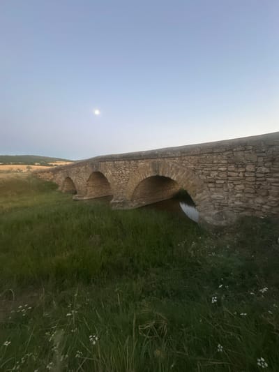 The image shows an old stone bridge with multiple arches, spanning over a small body of water or a ditch. The bridge is constructed from roughly cut stones, giving it a rustic and aged appearance. The surrounding environment is predominantly grassy and appears to be a rural landscape. The sky is a pale blue with a bright, hazy sun visible in the upper left quadrant of the image, suggesting it is daytime, likely late afternoon or early morning due to the soft light. Some small white flowers are scattered amongst the green grass in the foreground. In the background, a hill slopes down towards the bridge, with hints of dry vegetation and trees further in the distance. The overall mood is peaceful and serene, evoking a sense of history and nature. The image is oriented vertically. There is no visible text.