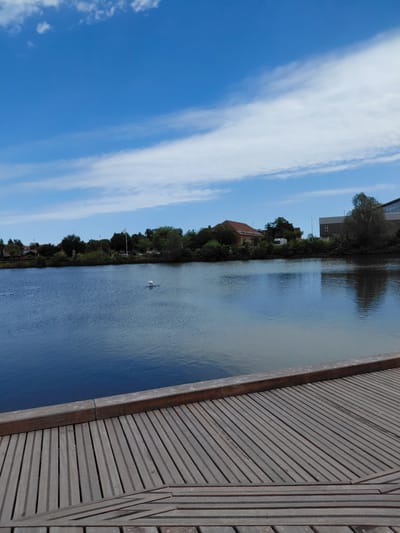 The image depicts a body of water adjacent to a wooden walkway. The location is most likely a canal or lake in Taastrup, Denmark. On the opposite side of the water, there is a green embankment with a line of trees and buildings. A clear, blue sky with wispy white clouds is visible above. The image is taken from an elevated viewpoint, focusing on the water's surface and the adjacent wooden structure.