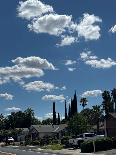 A vertical, eye-level, medium-shot photograph taken on a sunny day depicts a suburban street scene in Citrus Heights, California, USA. The sky is a bright blue, populated by fluffy white clouds. In the foreground, a paved road curves to the left, with double yellow lines indicating traffic direction. A white pickup truck, possibly a Toyota Tacoma, is parked on the right side of the road, partially obscured by lush green bushes. To the left of the truck, a white SUV is parked in a driveway. Beyond the road and the parked vehicles, a single-story house with a gray roof and white siding is visible, featuring a porch with an American flag. The house is surrounded by a well-maintained garden with various plants and landscaping. Several tall, dark green cypress trees stand prominently behind the house, adding verticality to the scene. Palm trees of varying heights are scattered throughout the landscape, contributing to the California setting. The overall impression is one of a peaceful residential neighborhood on a clear, bright day.