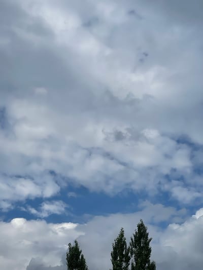 The image shows a cloudy sky over the city of Кызыл-Тоо, Kyrgyzstan. The sky is filled with a mixture of white and gray clouds, with patches of blue visible between them. In the foreground, the tops of two tall, slender trees are visible, their dark green leaves stark against the lighter sky. The overall impression is one of a temperate, possibly overcast day.