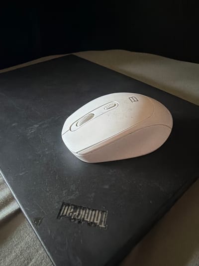 A white computer mouse rests on a black surface, which appears to be a laptop. The laptop has a visible "ThinkPad" logo etched into its surface. The scene is dimly lit, with a dark background that fades into a lighter gray fabric to the right. The surface of the laptop shows signs of wear, with visible scuffs and dust. The mouse is positioned centrally on the laptop, facing towards the right. The image does not contain any information about the city of Hornersville, United States.