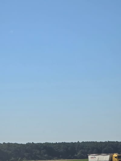 This media file shows a clear blue sky on the left and a line of dense green trees on the right. At the far right of the image, a white trailer with the logo "SCHMITZ CARGOBULL" is partially visible, and a yellow truck cab is on top of it. The trailer has some text visible, though it is small and difficult to read clearly. The image appears to be taken on a bright, sunny day, likely in the afternoon due to the quality of light. The setting is outdoors, possibly along a road or at a business park, given the presence of the truck and trailer. The overall scene evokes a sense of daytime activity and a rural or semi-rural landscape.