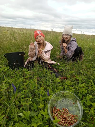 Two young girls are crouched in a grassy field, seemingly picking wild strawberries. The girl on the left wears a pink jacket and an orange beanie with a heart emblem, her hair is blonde and tied in a braid. The girl on the right wears a grey patterned jacket and a light-colored beanie. She has glasses and her hair is brown. Both girls are smiling, suggesting they are enjoying the activity.
In front of the girls, a clear plastic bowl is filled with ripe wild strawberries. Beside the girl on the left, there is a black bucket. The background is a field of tall, dry grass under a cloudy sky, indicating an overcast day. The overall scene suggests a rural setting in Buraly, Russia, during a pleasant outdoor activity. The time of day appears to be daytime, given the natural light. There is no visible text in the image.