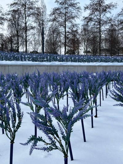 The image displays an outdoor winter scene in the city of Plodorodny, Russia. The foreground is covered in snow, from which numerous artificial plants with purple-hued floral spikes and green stems emerge. These plants are uniformly arranged in rows, supported by dark, thin stakes, and some feature small, clear light-emitting diodes. In the midground, a low, light-colored concrete wall, also topped with snow, extends horizontally, behind which another section of identical artificial plants is visible. The background features a line of bare deciduous trees under an overcast sky. No individuals or dynamic actions are depicted.