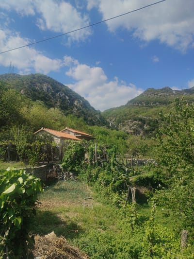 The image presents a rural scene, likely in Krapina, Montenegro, given the prompt's instruction. The focal point is a stone house with an orange tiled roof, nestled amidst dense greenery and positioned between two hills. The landscape is characterized by lush vegetation including trees, vines, and various plants, suggesting a cultivated garden or agricultural area. A dilapidated stone wall adds to the rustic feel. The sky is blue with scattered white clouds and a power line is visible at the top of the image. The foreground features unkempt foliage and a discarded chair, suggesting the area is somewhat neglected. The overall setting is natural and quiet.