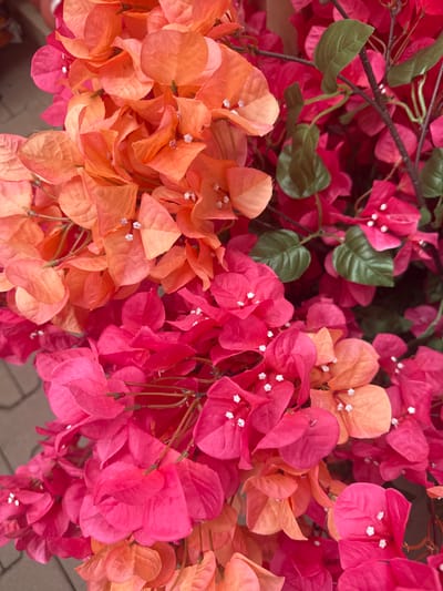 This media file displays a close-up, overhead view of artificial bougainvillea flowers. The flowers are a vibrant mix of pink and orange hues, with delicate white centers. They are arranged in dense clusters, with some green artificial leaves interspersed among them, giving the impression of a natural plant. The textured material of the artificial petals is visible upon close inspection. The background suggests an outdoor setting, possibly a garden or a decorative display, with hints of a brick-like texture at the bottom edge. There is no discernible time of day or weather indicated, and no text is present in the image. The overall impression is one of colorful, decorative floral arrangement, likely intended for aesthetic appeal.