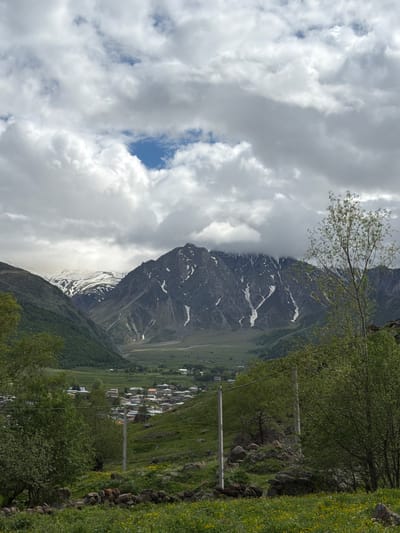 The image depicts a wide shot of a mountainous landscape with a village nestled in the valley. The sky is filled with dramatic, grey and white clouds, with patches of blue sky visible. In the foreground, a green, grassy slope is dotted with small yellow flowers and some scattered rocks. A stone wall runs along the bottom of the frame. To the right, a thin, leafy tree stands tall.
Further into the scene, a village with numerous houses with red roofs is visible in the middle ground, spread across a green valley. The village is situated at the base of the mountains. The mountains themselves are imposing, with rocky, dark grey slopes partially covered in snow, especially on the higher peaks. Some vegetation, appearing as dark green trees and shrubs, covers the lower slopes of the mountains. Power poles are visible in the mid-ground, indicating some infrastructure in the area. The overall environment suggests a rural, mountainous setting. Based on the description provided, the location is the city of Arsha, Georgia. There are no people or animals visible in the image.