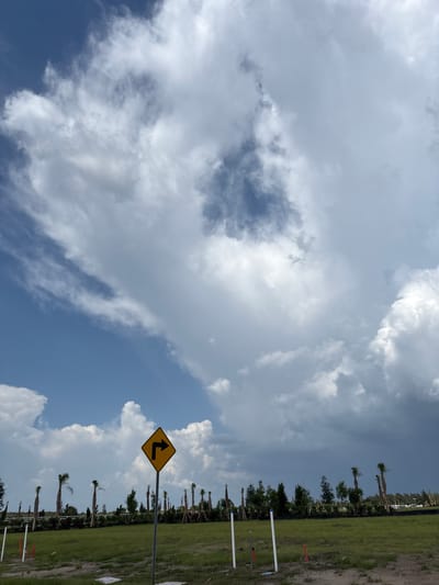 In Lakewood Ranch, Florida, USA, a turn sign warns of a right curve ahead. The yellow diamond-shaped sign is mounted on a metal pole in a grassy field with scattered palm trees and other vegetation. The sky is filled with dramatic clouds, with patches of blue sky visible. The clouds on the right side of the frame appear darker, suggesting a storm may be approaching. The field is undeveloped, with some construction markers visible in the foreground.