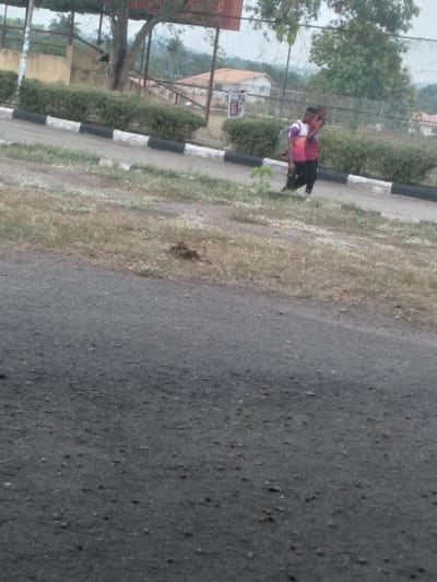 The scene depicts an outdoor environment in Osu, Nigeria. The foreground features a dark grey asphalt road surface. Immediately beyond, a curb with alternating black and white painted sections defines a boundary, separating the road from a strip of dry grass and a continuous line of trimmed green hedges.
Two male individuals are visible walking from right to left behind the hedges. The person in the lead wears a red shirt over a lighter undershirt, dark trousers, and carries a dark bag on their left shoulder. The second person wears a multi-colored striped shirt (purple, white, and red) and dark trousers, also appearing to carry a bag on their back. Both individuals are in motion.
In the background, a chain-link fence topped with barbed wire spans horizontally behind the hedges. Beyond the fence, a tan-colored building with a red roof is partially visible, alongside a section of another white building and dense green trees. The sky above appears overcast. A red metal structure is partially visible on the far left, behind the fence.