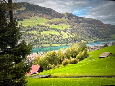 The image depicts a scenic landscape with a body of water, rolling green hills, and a mountain range in the background. In the foreground, a large evergreen tree partially obscures the view. A village with red-roofed buildings is nestled on the slope of a hill overlooking the water. A small, dark-colored barn with a brown roof is situated on a bright green grassy slope in the mid-ground. The sky is partly cloudy with patches of blue. The overall impression is one of natural beauty and tranquility. The location is identified as Porrentruy, Switzerland.