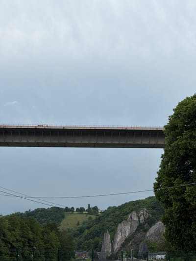 The image shows a view from below the Pont de Dinant bridge, located in Dinant, Belgium. The bridge, a concrete structure with a ladder extending along its side, stretches vertically across the frame, connecting the left and right sides of the landscape. The left side of the image is primarily the sky, which is slightly overcast. The right side reveals a hill covered in trees, interspersed with rocky outcrops. Buildings are visible near the top right corner. A few power lines are running across the right side of the frame. Trees are visible in the top part of the image.