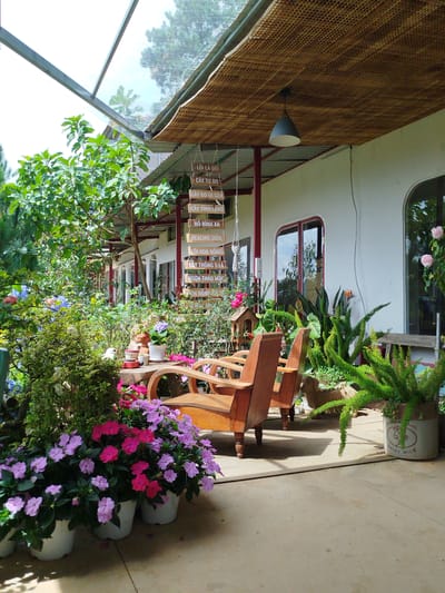 The image depicts an outdoor seating area adjacent to a building, likely in Trường An, Vietnam. The scene is characterized by lush greenery and a collection of potted plants. In the foreground, several white pots overflow with vibrant pink and purple impatiens flowers. Behind the flowers, two wooden chairs with curved backs are positioned on a wooden deck.
Further back, a small wooden table holds a few items, including a white pot and a small decorative bird figurine. A cluster of trees and dense foliage surrounds the seating area, creating a natural and somewhat secluded atmosphere. Above, a slatted bamboo roof is supported by red posts, and a simple pendant light fixture hangs from it.
The building itself has white walls and large, arched windows with red frames. Hanging from the eaves of the building are several wooden signs with Vietnamese inscriptions. In the background, more greenery and trees are visible, suggesting a location with abundant plant life. The overall impression is one of a tranquil, garden-like setting designed for relaxation.