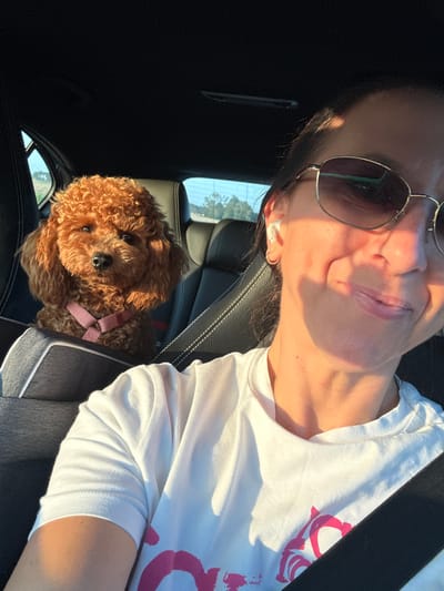 A medium shot selfie captures a woman wearing a white t-shirt with pink lettering and sunglasses, sitting in the driver's seat of a car. She is smiling as sunlight illuminates her face. To her left, in the passenger seat, sits a small, reddish-brown poodle wearing a pink harness. The dog is looking directly at the camera. The background shows the interior of the car, including black leather seats and the car's headliner, with a glimpse of trees and the sky through the rear window. The scene appears to be from the city of Zuidbroek, Netherlands, given the context.