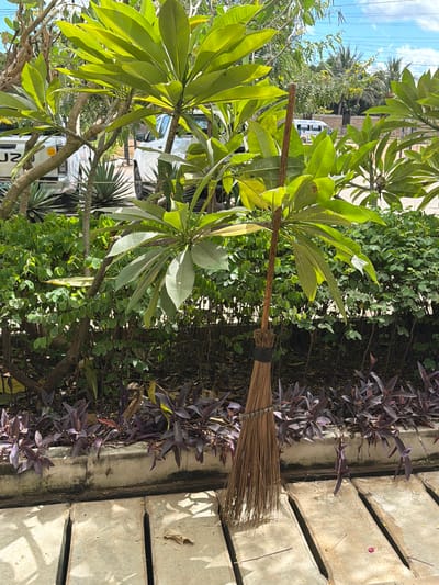A daytime exterior shot shows a broom leaning against a ledge in Pemba, Mozambique. The broom, made of brown bristles bound with a black band to a wooden handle, rests against a concrete ledge on the right side of the frame. To the left of the broom is a mix of green plants, including leafy bushes and a tree with large, oval leaves. Purple-leafed plants grow alongside the concrete ledge. The background reveals additional greenery, partially obscuring a white vehicle. The sky is visible in the distance.