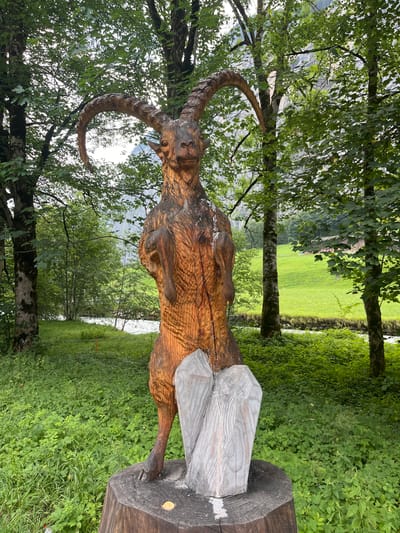 An outdoor, medium-shot photograph depicts a wooden sculpture of an ibex standing on a tree stump, positioned in front of a lush green landscape. The ibex sculpture, carved from wood and stained a warm brown, is detailed with visible wood grain and carved fur textures. It stands upright on its hind legs, with its forelegs positioned as if to strike or balance, and its head is turned slightly to the left, facing the camera. The sculpture's most prominent feature is its large, curved horns. In front of the ibex's legs are two large, unpainted wooden heart shapes, also carved. The sculpture is situated in a natural setting with abundant green foliage and trees. In the background, a body of water, likely a river, flows past, bordered by more greenery. Beyond the immediate riverside area, a gently sloping green meadow is visible, dotted with trees. Further in the distance, mountains or large hills are partially obscured by trees and overcast skies. The overall impression is that of a decorative art installation in a scenic, natural environment.
The location of this image is identified as Lauterbrunnen, Switzerland. While the specific street or exact landmark is not discernible from the photograph alone, the characteristic mountainous terrain and verdant valleys are consistent with the scenery of the Swiss Alps. It appears to be a public space, possibly a park, hiking trail, or a scenic viewpoint where such art installations might be placed to enhance the visitor experience and celebrate local wildlife or culture. There are no people visible in the image.