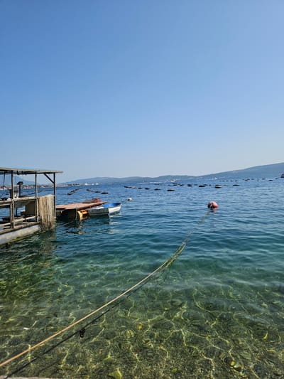 The image depicts a clear, sunny day at a waterfront location, likely a harbor or bay in Jošice, Montenegro. The foreground shows the clear, shallow water revealing a pebble-strewn seabed. Two thick ropes run diagonally across the bottom of the frame, anchored near the viewer and extending into the water. To the left, a floating dock or platform is visible, constructed of wood and metal, supporting some equipment and a hanging net. A small blue and white boat is tied to the dock. In the middle ground, the water stretches out, dotted with numerous black buoys, suggesting an aquaculture operation, possibly mussel or oyster farming. A single red buoy is prominent in the middle right, tethered by a rope. Beyond the buoys, the coastline is lined with hills and mountains under a clear blue sky. The overall scene conveys a sense of coastal activity and calm waters.