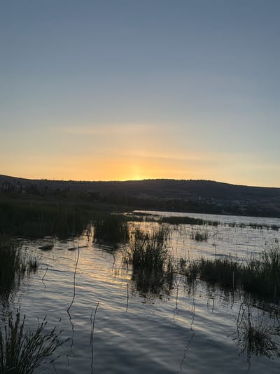 The image depicts a serene sunset over a body of water in the Emek HaYarden Regional Council, Israel. The sky transitions from a pale blue at the top to a warm orange and yellow hue near the horizon, where the sun is partially obscured by a distant, undulating landscape of hills and vegetation. The foreground is dominated by a body of water with ripples reflecting the sky and the surrounding reeds. Tall, dark green reeds and grasses emerge from the water, creating a natural border and adding texture to the scene. The water's surface is a mosaic of dark blues and grays, interspersed with streaks of golden light from the sunset. Scattered clumps of reeds are visible across the water's expanse, some with thin, dark stalks reaching upwards. The distant hills are silhouetted against the bright sky, with hints of vegetation and possibly scattered structures visible along their crest. There are no people or animals present in the image, and the scene conveys a sense of natural tranquility.