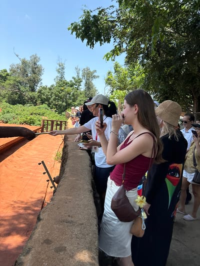 In the city of Xiuying District, China, on a sunny day, a group of people are gathered along a concrete wall, observing an elephant. An elephant's trunk is visible on the left, reaching out to accept a stick from a person on the right. The people are dressed casually, some wearing hats and holding phones. The environment is outdoors, with lush green trees and vegetation in the background. The ground appears to be reddish-orange dirt.