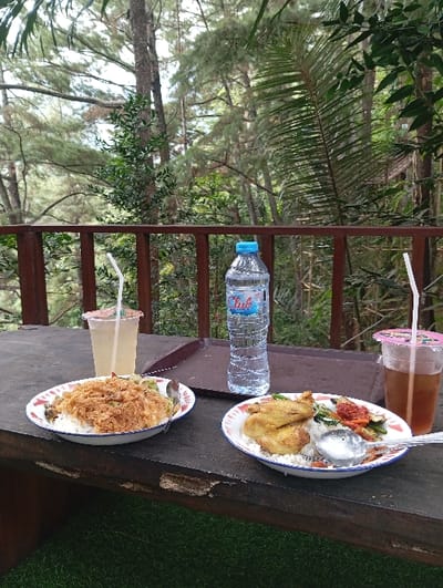 The image depicts an outdoor dining scene at an elevated location within a densely forested environment in Kajar, Indonesia. The foreground features a rustic, dark-stained wooden table with visible distress marks. On the table are two white plates with red and blue rim patterns, each containing a serving of white rice.

The plate on the left holds a large, golden-brown, crispy fried item, possibly a shredded fried chicken preparation or a crispy omelet, accompanied by a green garnish and a metal spoon. The plate on the right contains two pieces of fried chicken, a portion of green vegetables, and a distinct red condiment, also with a metal spoon.

Between the two plates, a clear plastic bottle of "CLUB" brand mineral water with a blue cap stands upright. To the left of the left plate, a clear plastic cup filled with a light yellow beverage and containing a white straw is visible. To the right of the right plate, another clear plastic cup holds a dark brown liquid, likely iced tea, also with a white straw.

Behind the table, a brown wooden railing extends horizontally across the frame, suggesting a viewing platform. Beyond the railing, a dense natural forest dominates the background, characterized by numerous tall trees, including prominent pine trees and various other green foliage. The ground beneath the table appears to be covered with green artificial turf. No people are visible in the scene.