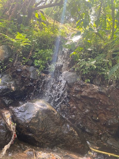 The image displays a natural waterfall or stream cascading down a rocky embankment in Cibeureum, Indonesia. Water flows actively, splashing and creating visible spray as it descends over dark, wet, irregularly shaped rocks that vary from dark grey to reddish-brown. A prominent sunbeam or lens flare illuminates a segment of the falling water. Dense, verdant vegetation, including various ferns and broad-leafed plants, covers the rocky surfaces and extends into the background, indicative of a lush, possibly tropical environment. Natural sunlight brightly illuminates the scene. A small accumulation of tangled white and red fibrous debris, consistent with plastic or fabric, is observed at the base of a large rock on the lower-left. A wooden stick or branch is present in the lower-right foreground. No human subjects or direct human activity are depicted.