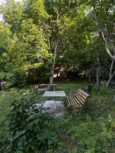 A wooded area with dappled sunlight filtering through dense trees. In the foreground, lush green foliage obscures the lower part of the frame. A table and matching benches sit on a concrete slab, appearing slightly overgrown. Beyond, a decorative park bench adds to the serene scene. A narrow path leads into the shadowy depths of the woods.