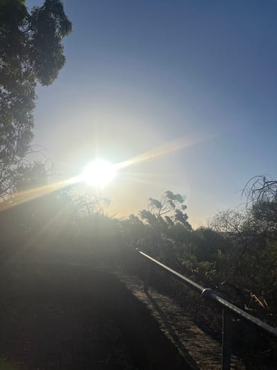 This image depicts an outdoor ascending pathway within a vegetated area in Applecross, Australia, under bright, direct sunlight. The sky, visible in the upper half of the frame, is clear and light blue, transitioning to a bright white-yellow haze around the sun. The sun is positioned in the lower-left quadrant of the sky, emitting a strong burst of light and significant lens flare across the center-left.
A dark, upward-sloping pathway or series of steps occupies the lower-center of the image, receding into the midground. Its surface is largely in shadow, appearing to be composed of dirt and possibly some irregular paving. A dark, possibly metallic, handrail runs along the right edge of this pathway, extending from the lower-right foreground towards the mid-center, casting a distinct, elongated shadow to its left.
Dense vegetation borders the pathway. On the far left, the dark green foliage of a large tree is partially visible. The midground and right side of the image are filled with numerous bushes and smaller trees, some exhibiting sparse or dry-looking branches. No people or animals are present.